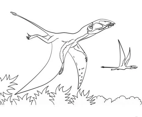 Pterodactyl Ausmalbilder 15