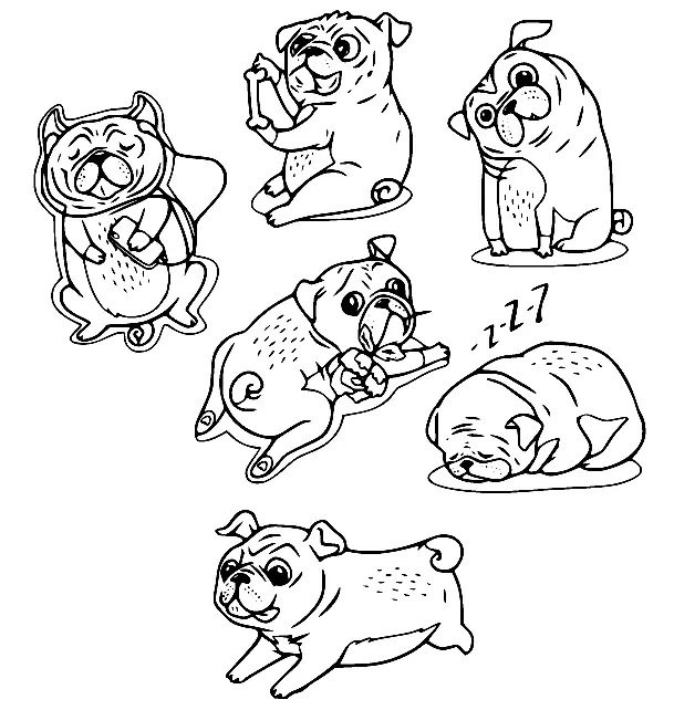 Mops Ausmalbilder 36