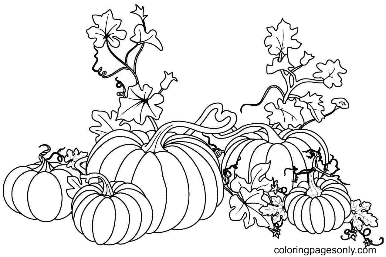 Desenhos de Pumpkin Para Colorir 24