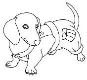 Puppy Dog Pals Coloring Pages 103
