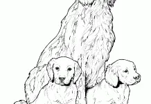 Puppy Dog Pals Coloring Pages 105