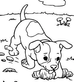 Puppy Dog Pals Para Colorear 115