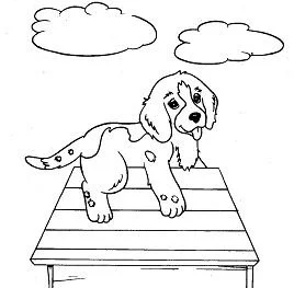 Puppy Dog Pals Coloring Pages 118
