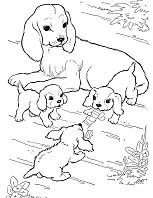 Puppy Dog Pals Para Colorear 126