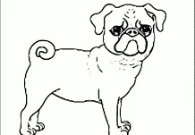 Puppy Dog Pals Coloring Pages 167