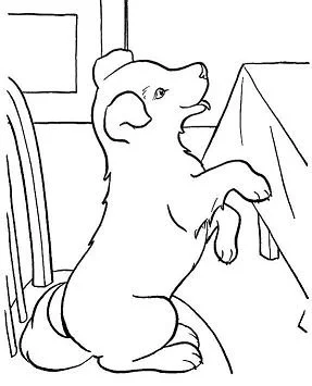 Puppy Dog Pals Para Colorear 201
