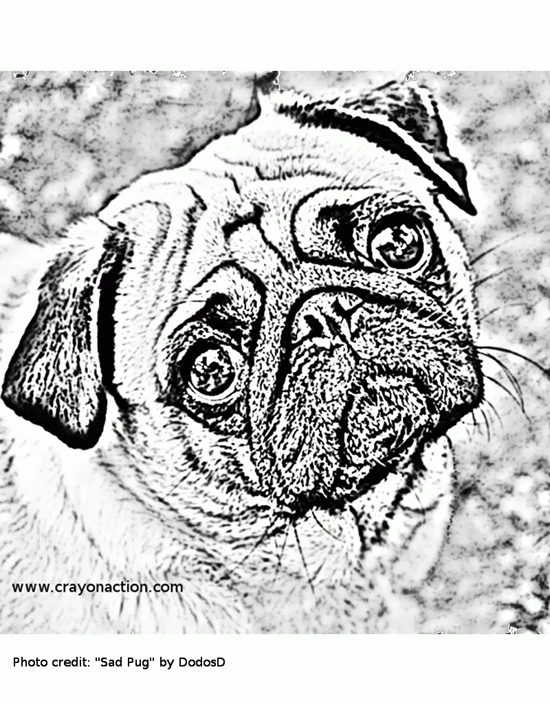 Puppy Dog Pals Coloring Pages 208