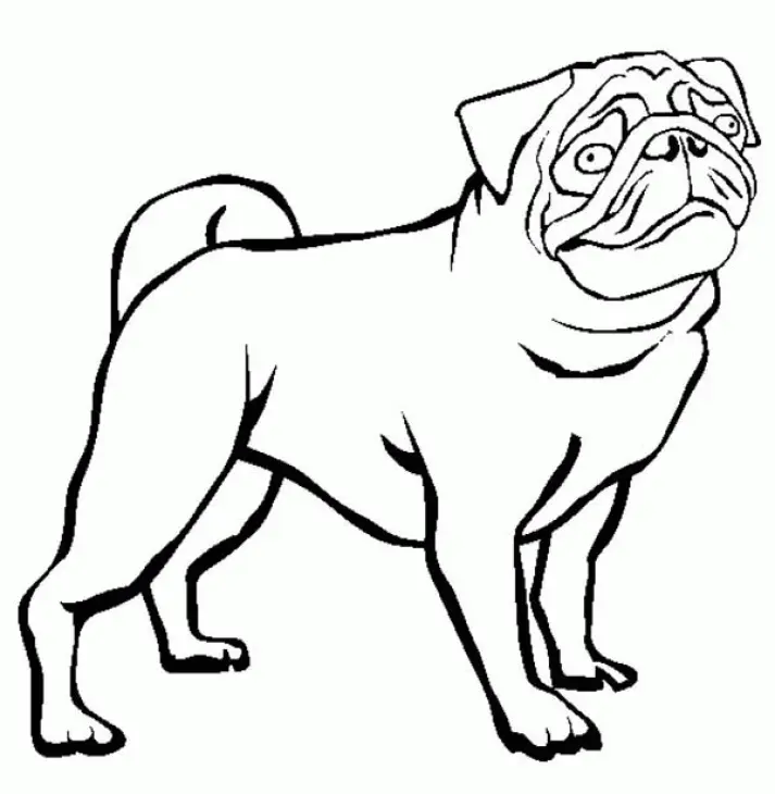 Puppy Dog Pals Coloring Pages 217