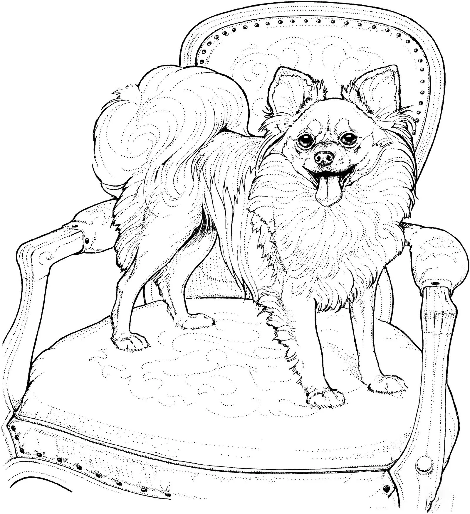Puppy Dog Pals Coloring Pages 218