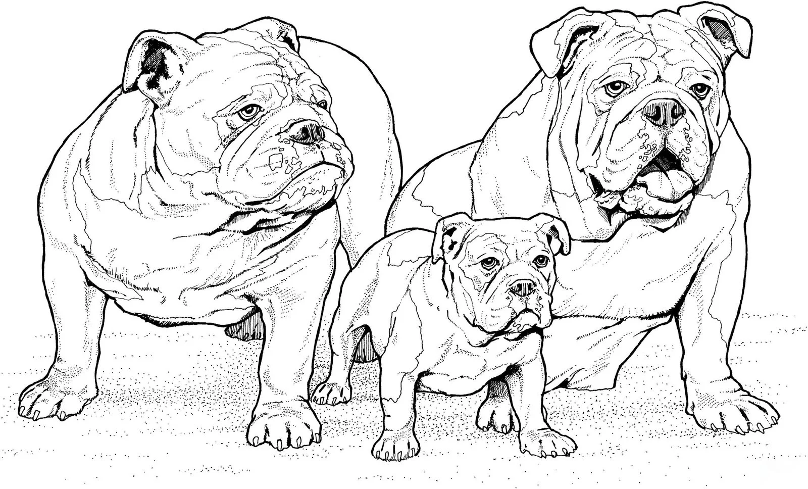 Welpen Hunde Freunde Ausmalbilder 236
