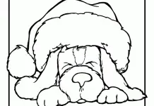 Puppy Dog Pals Para Colorear 259