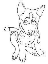 Puppy Dog Pals Para Colorear 45