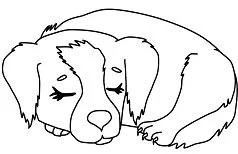 Puppy Dog Pals Para Colorear 48