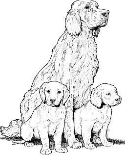 Puppy Dog Pals Coloring Pages 57