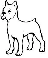 Puppy Dog Pals Coloring Pages 76