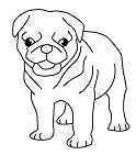 Puppy Dog Pals Coloring Pages 82