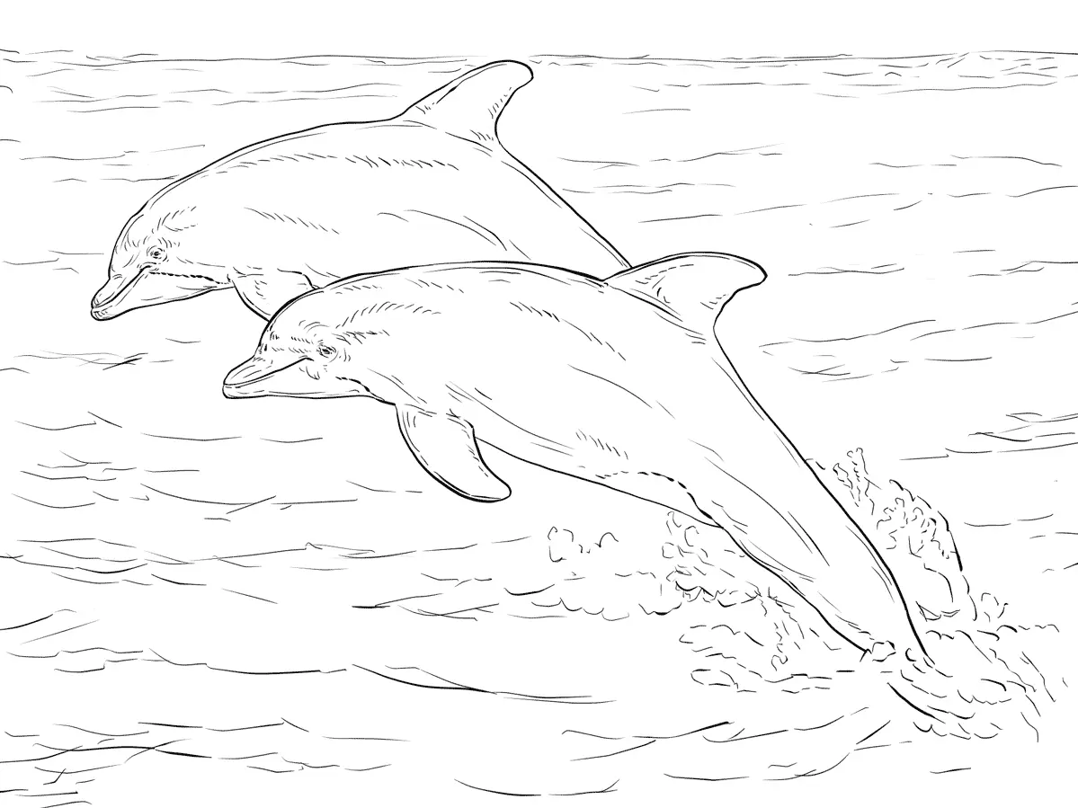 Animales Realistas Para Colorear 16