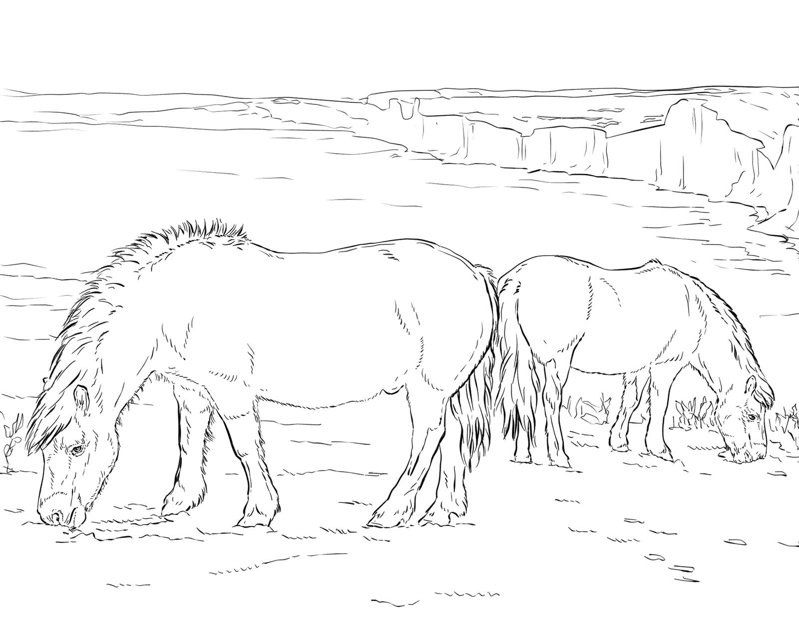 Animales Realistas Para Colorear 48