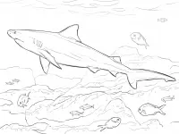 Animales Realistas Para Colorear 5