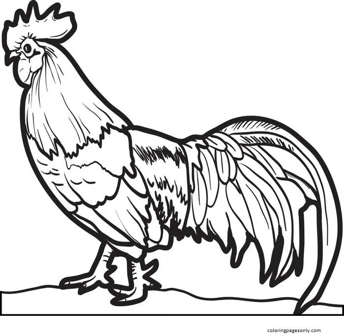 Animales Realistas Para Colorear 6