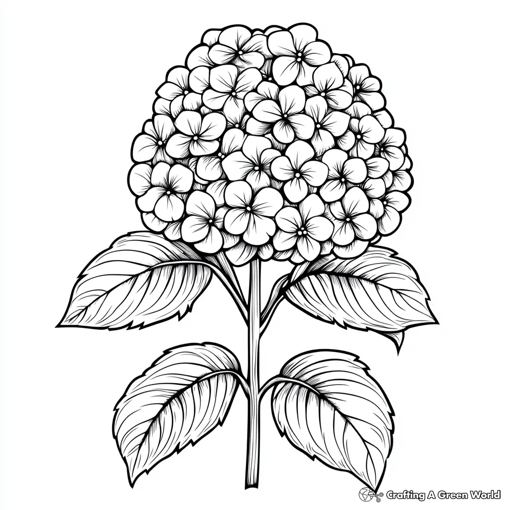 Realistic Flower Coloring Pages 52