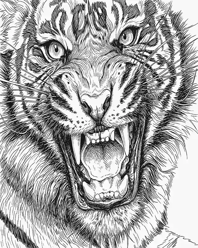 Tigre Realista Paginas para Colorir 9