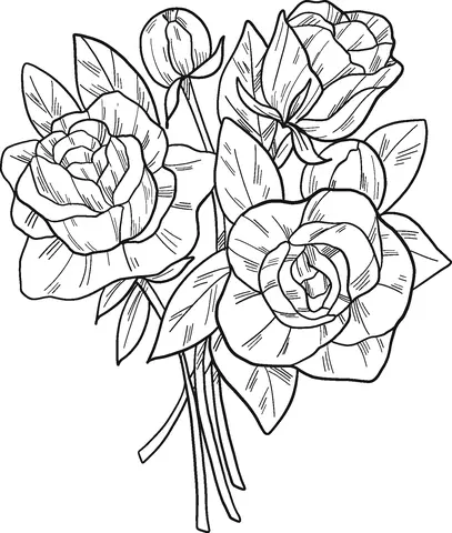Roses Coloring Pages 20