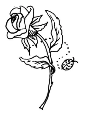 Rosen Ausmalbilder 82