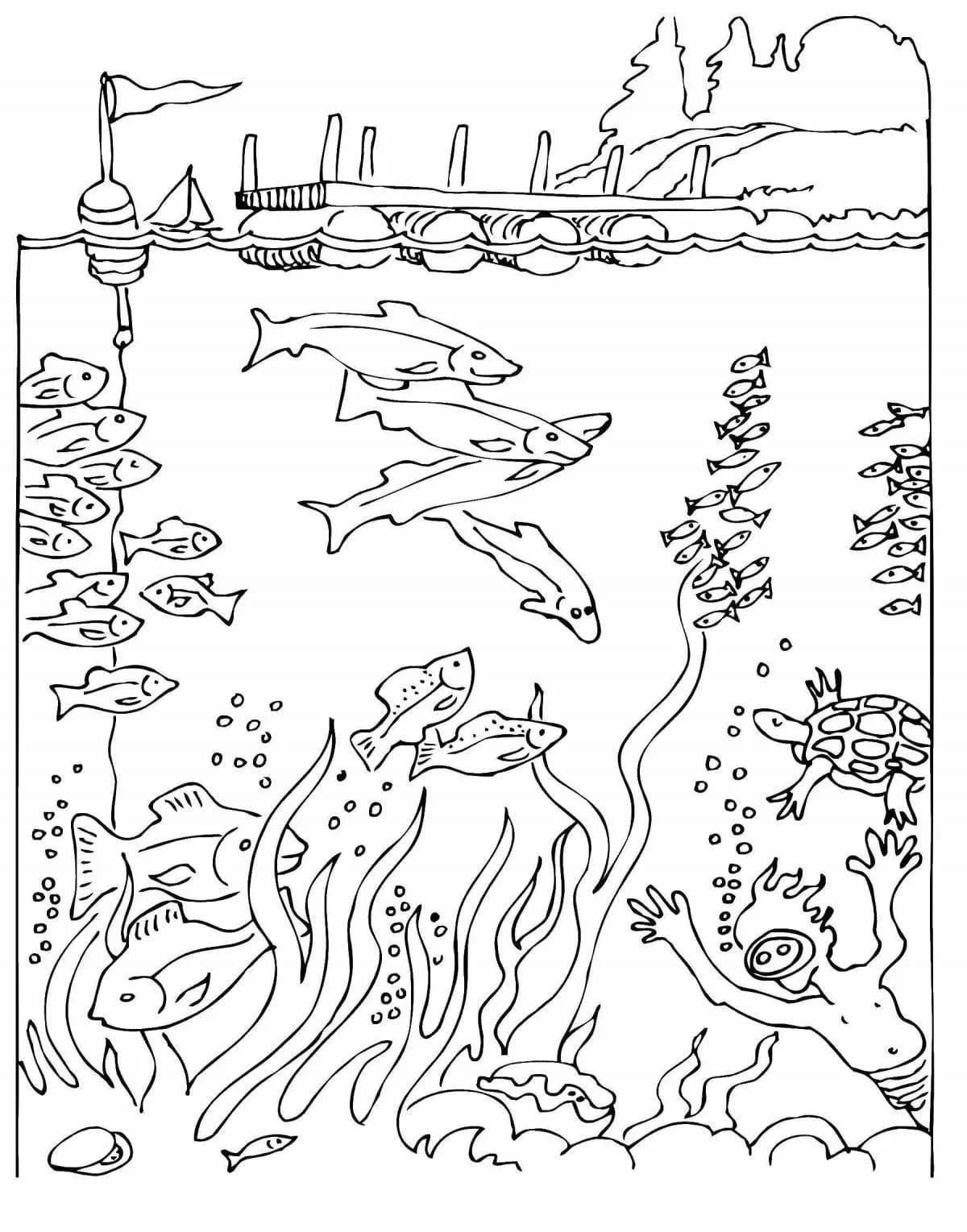 Scuba Diving Coloring Pages 37