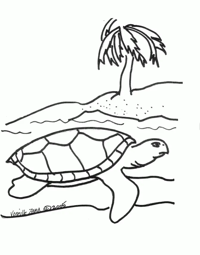 Desenhos de Tartarugas Marinhas Para Colorir 2