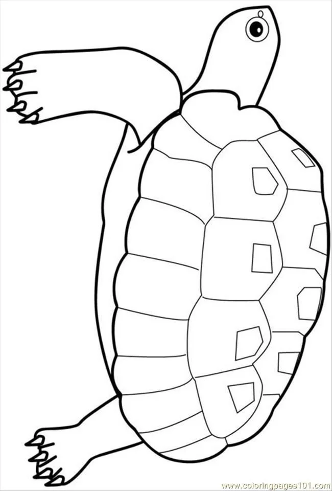 Desenhos de Tartarugas Marinhas Para Colorir 21