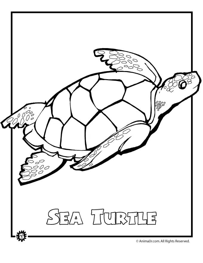 Desenhos de Tartarugas Marinhas Para Colorir 7
