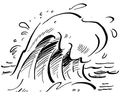Desenhos de Mares E Oceanos Para Colorir 18