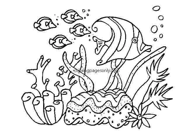 Desenhos de Mares E Oceanos Para Colorir 25