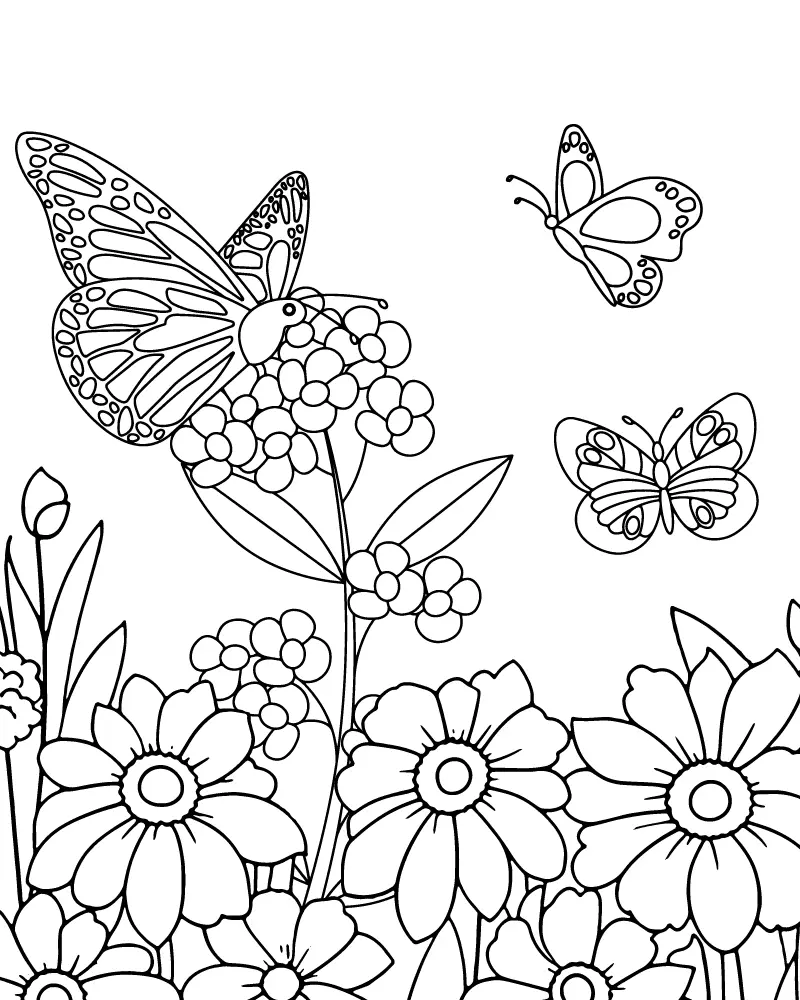 Adultos Simples para Colorir 14