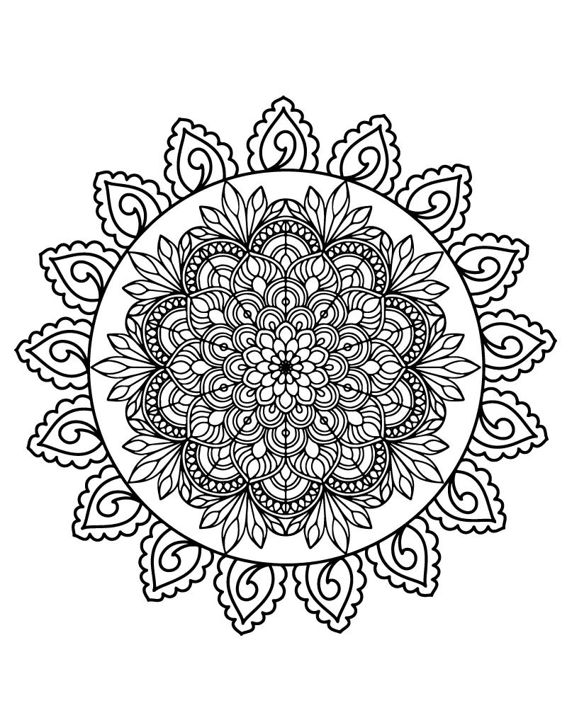 Adultos Simples para Colorir 20