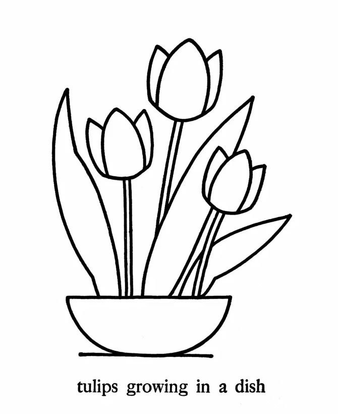 Simple Coloring Pages 5