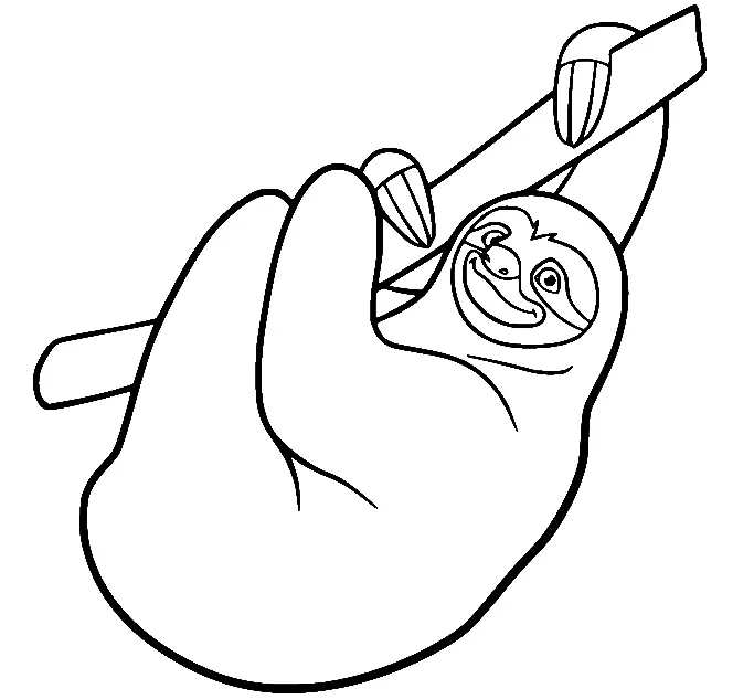 Ameisenbär Ausmalbilder 31