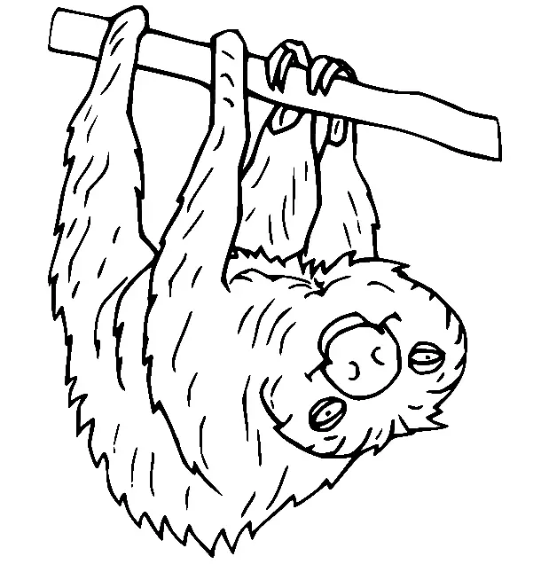 Ameisenbär Ausmalbilder 33