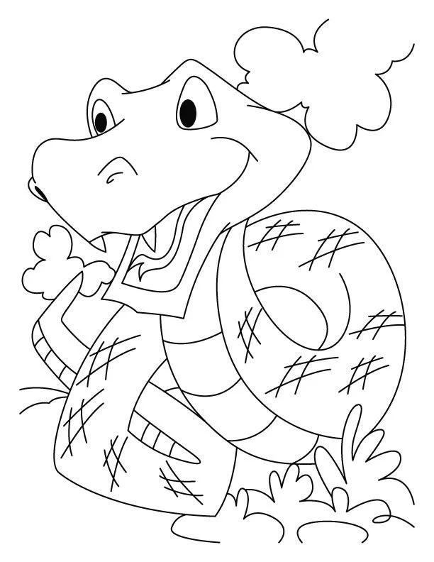 Desenhos de Cobra Para Colorir 1