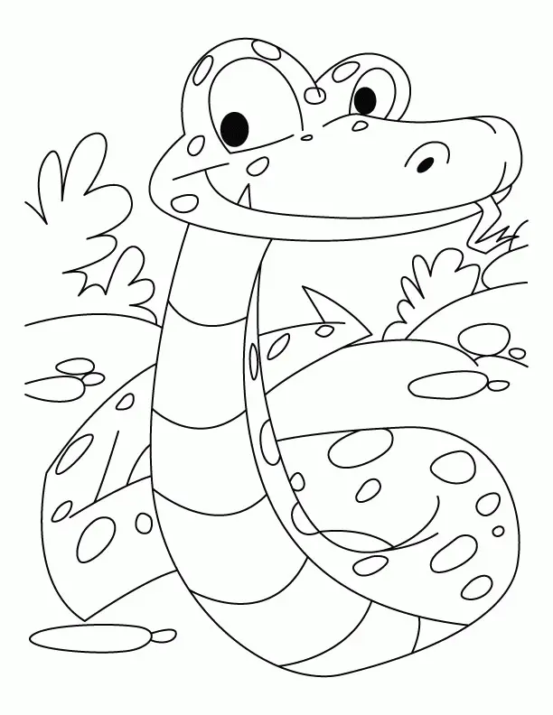 Desenhos de Cobra Para Colorir 2