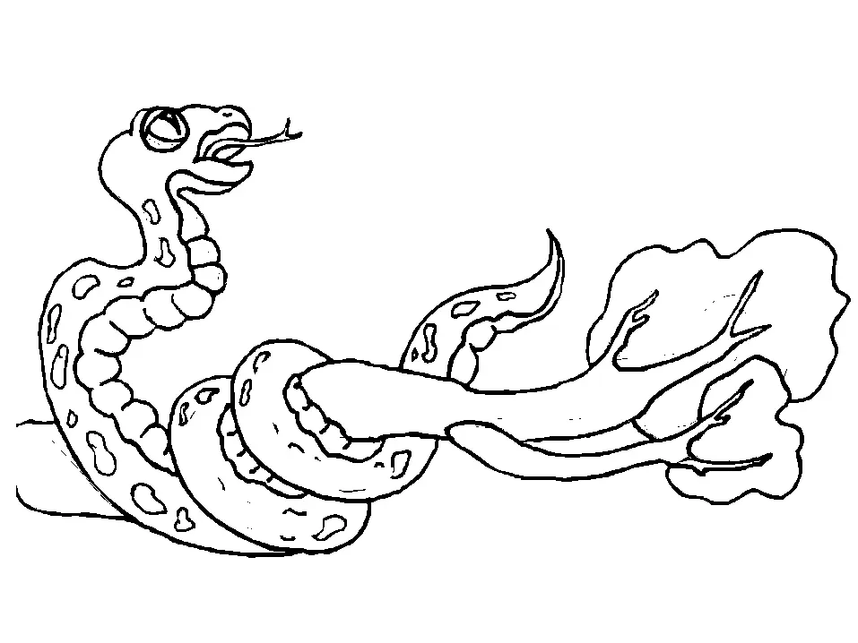 Desenhos de Cobra Para Colorir 22