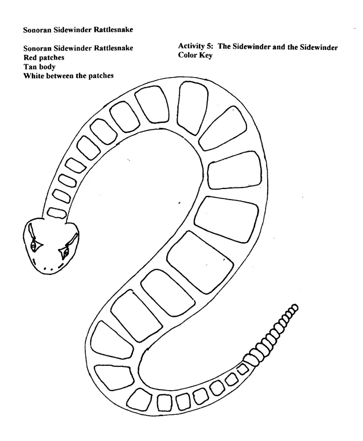 Schlangen Ausmalbilder 58