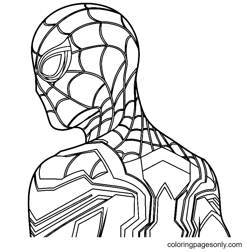 Spider Man No Way Home Ausmalbilder 2