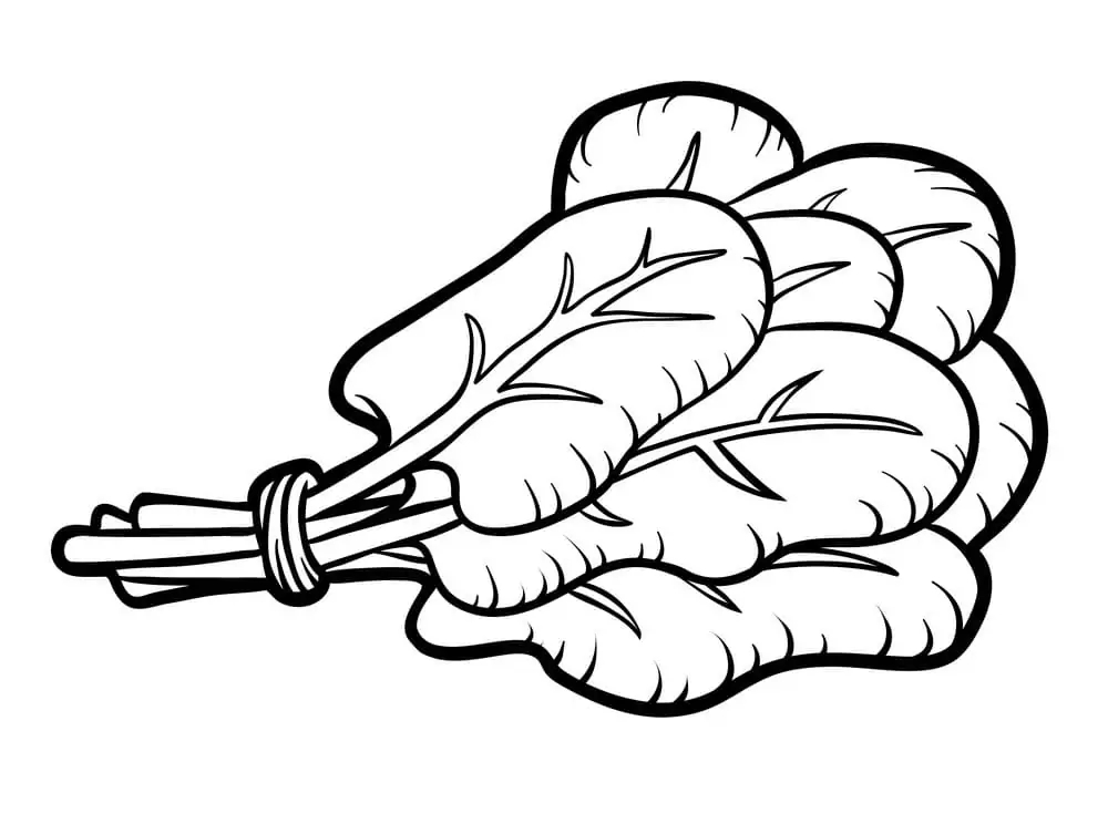 Espinafre Para Colorir 1