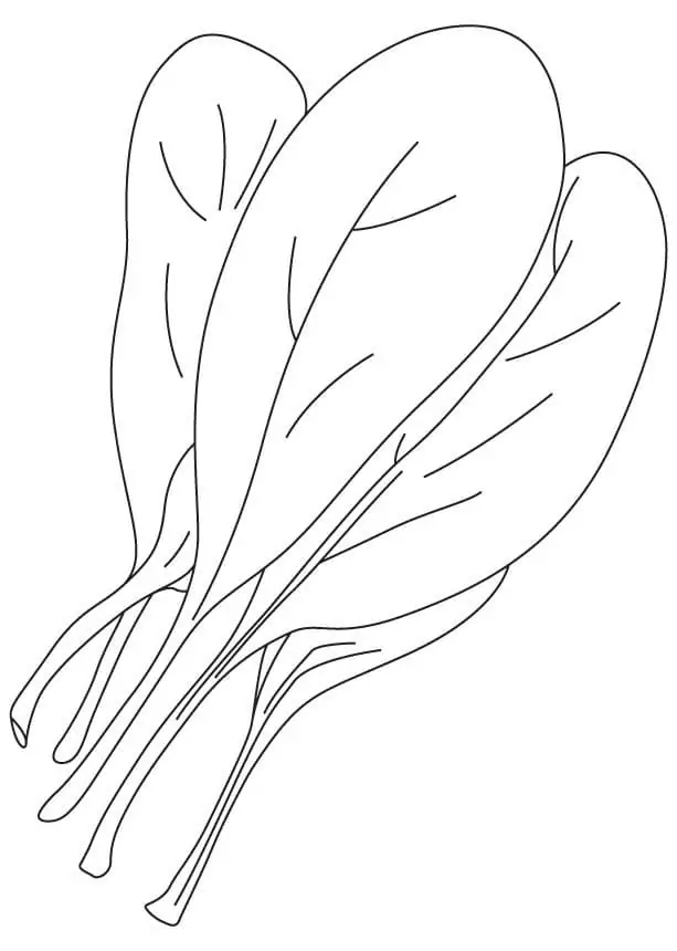 Espinafre Para Colorir 5