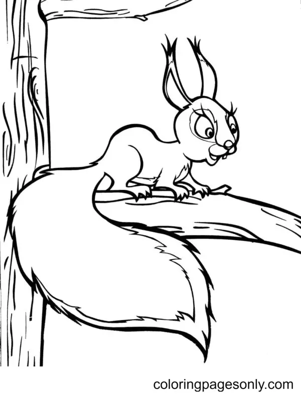 Desenhos de Esquilo Para Colorir 107