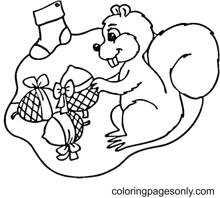 Desenhos de Esquilo Para Colorir 113