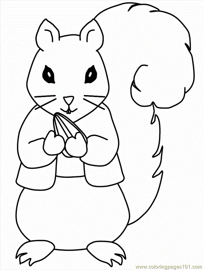 Desenhos de Esquilo Para Colorir 13