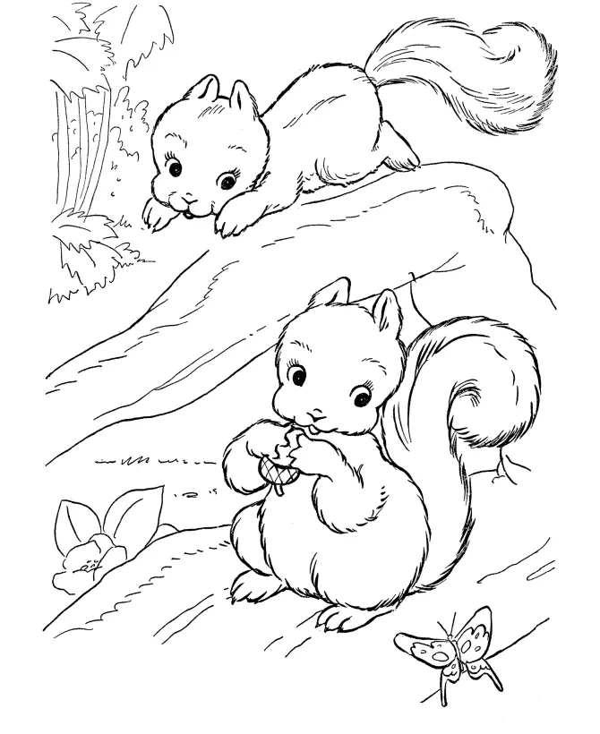 Desenhos de Esquilo Para Colorir 3